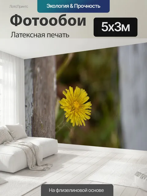 500 × 300 см · Латексная печать