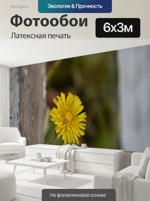 600 × 300 см · Латексная печать