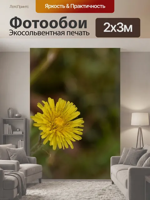200 × 300 см · Экосольвентная печать