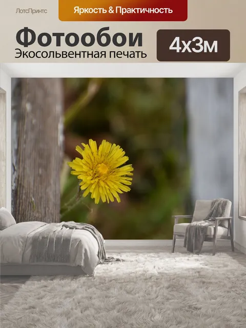 400 × 300 см · Экосольвентная печать