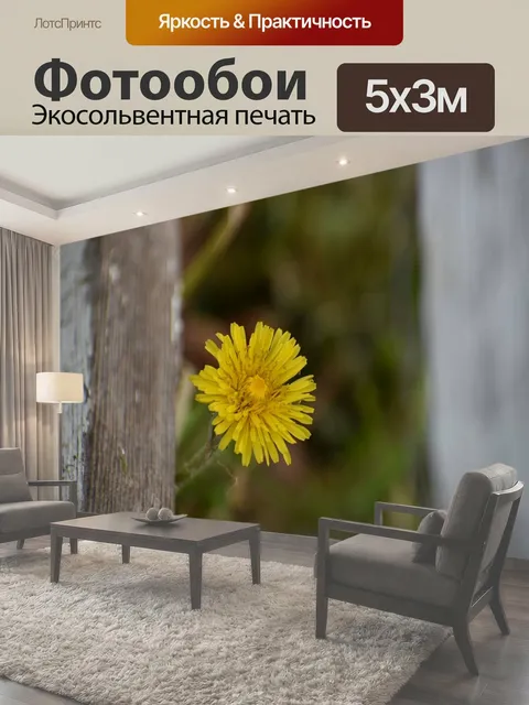 500 × 300 см · Экосольвентная печать