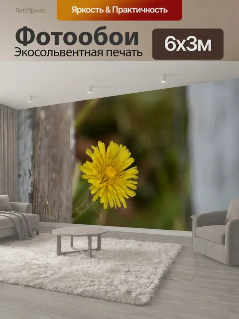 600 × 300 см · Экосольвентная печать