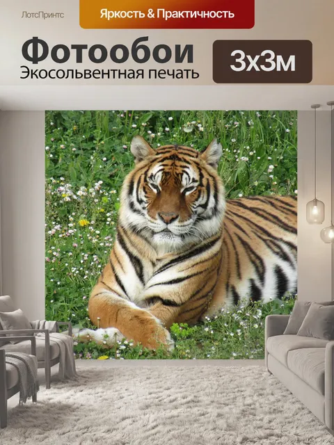 Фотообои Тигр, зоопарк, фауна