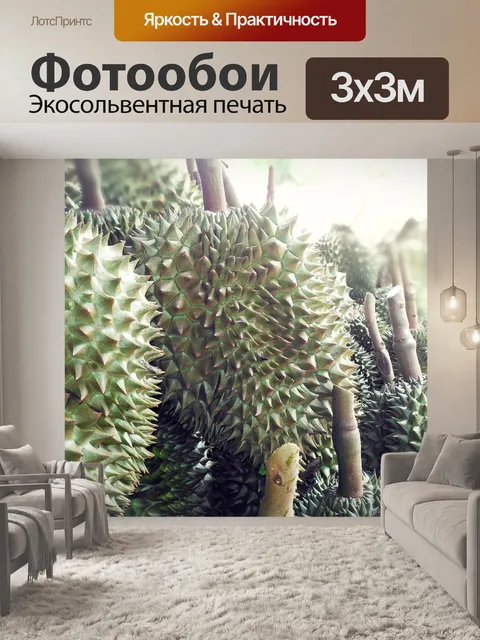 Фотообои Дуриан фрукты, дуриан, английский фрукты