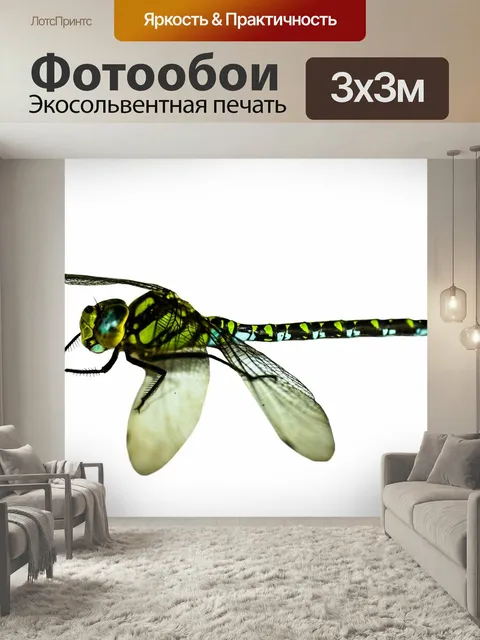 Фотообои Насекомое, стрекоза, закрывать