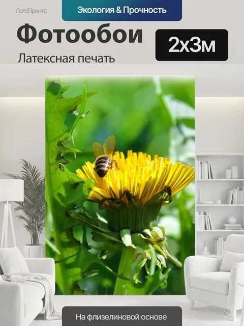 200 × 300 см · Латексная печать