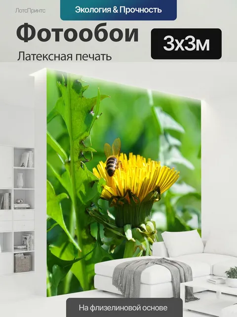 300 × 300 см · Латексная печать
