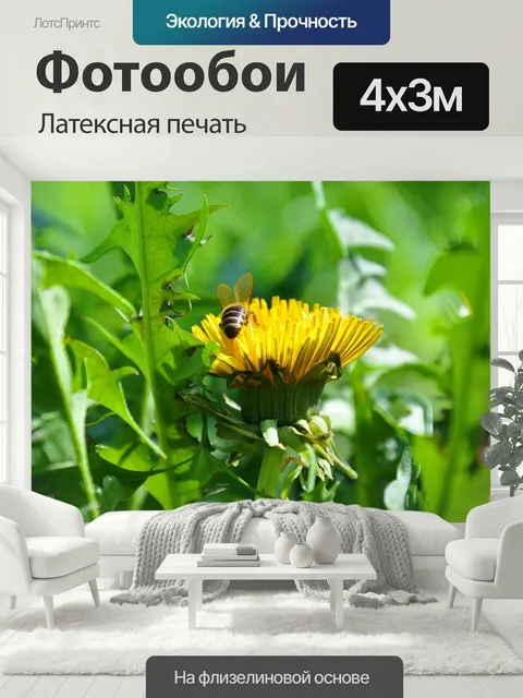 400 × 300 см · Латексная печать