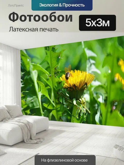 500 × 300 см · Латексная печать