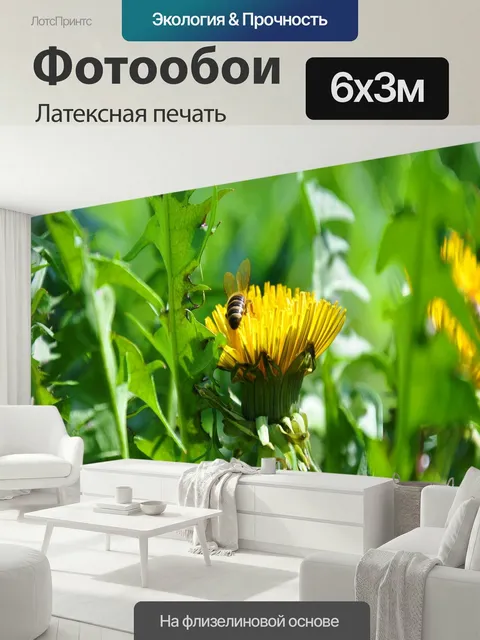 600 × 300 см · Латексная печать
