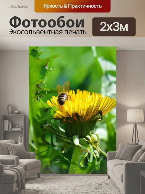 200 × 300 см · Экосольвентная печать