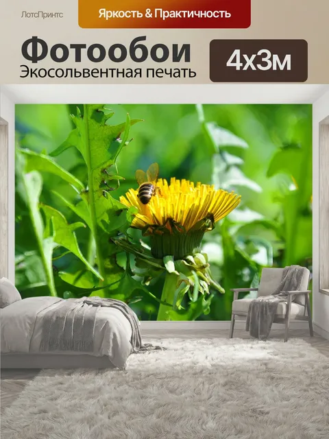 400 × 300 см · Экосольвентная печать