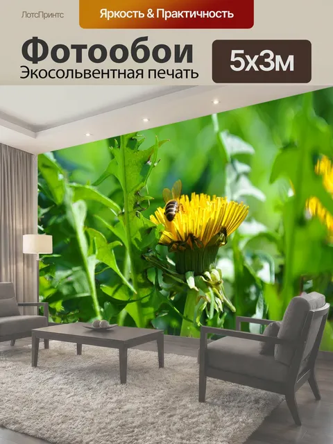 500 × 300 см · Экосольвентная печать