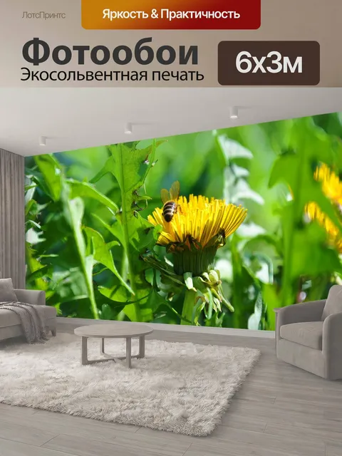 600 × 300 см · Экосольвентная печать