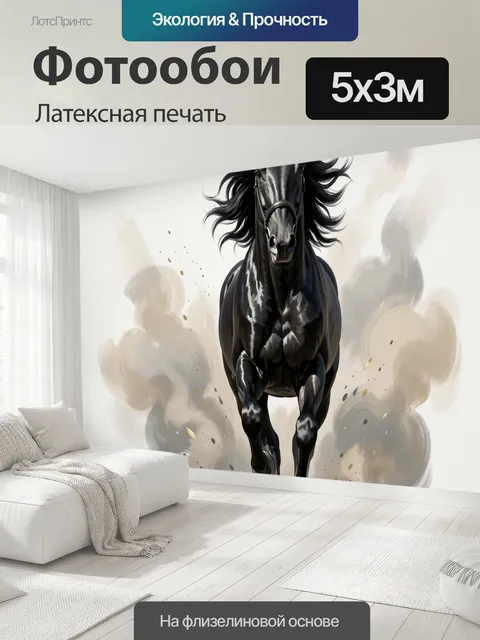 500 × 300 см · Латексная печать