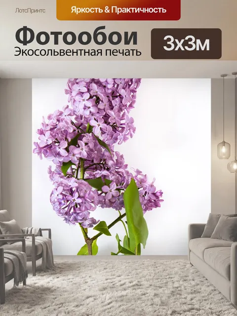 Фотообои Сирень, цветок, природа