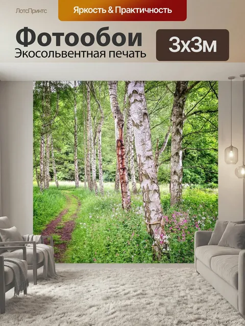 Фотообои Березы, лес, летом