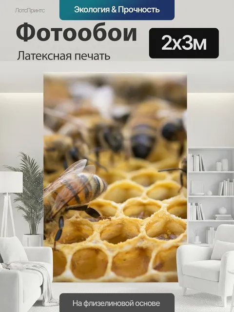 200 × 300 см · Латексная печать