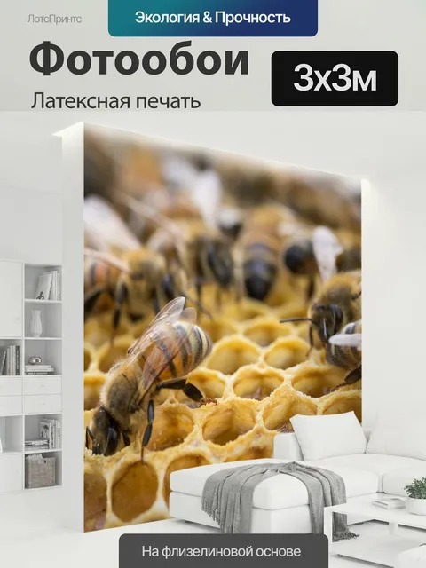 300 × 300 см · Латексная печать