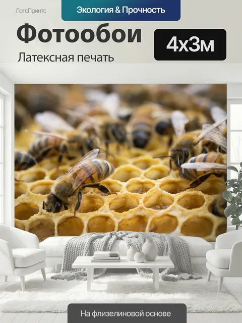 400 × 300 см · Латексная печать