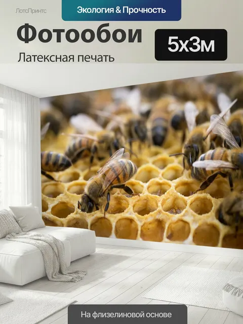 500 × 300 см · Латексная печать
