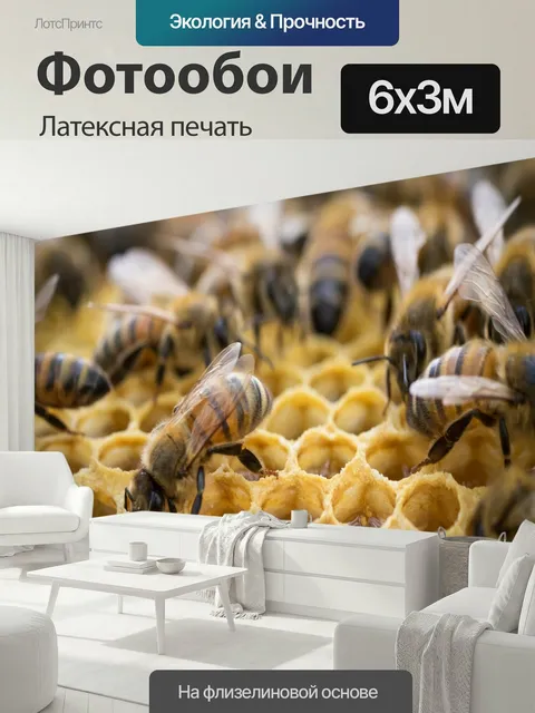 600 × 300 см · Латексная печать
