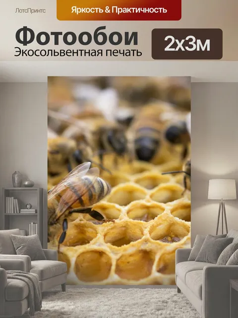 200 × 300 см · Экосольвентная печать