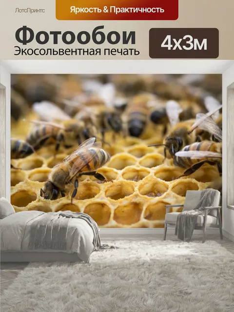 400 × 300 см · Экосольвентная печать