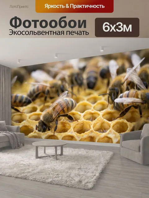 600 × 300 см · Экосольвентная печать