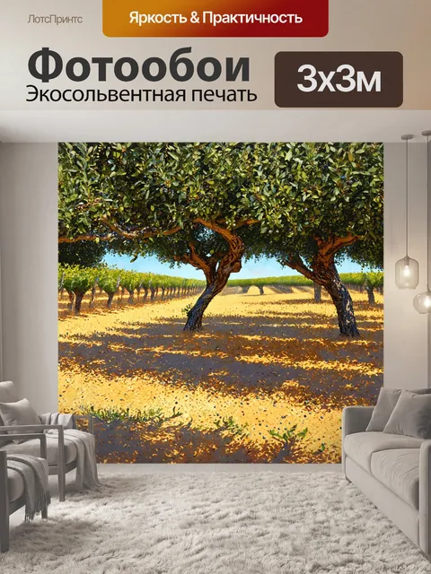 Фотообои Прованс - оливковая роща с роняющими оливками на землю, солнце высоко в небе, создавая интересные тени. рисун…