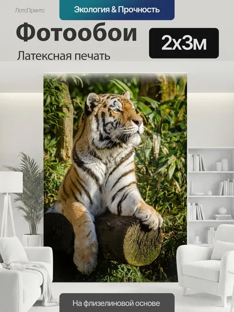 200 × 300 см · Латексная печать