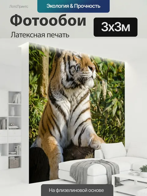 300 × 300 см · Латексная печать