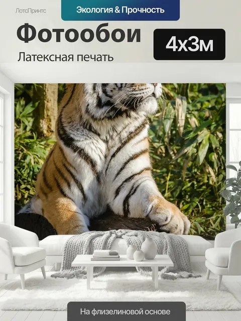 400 × 300 см · Латексная печать