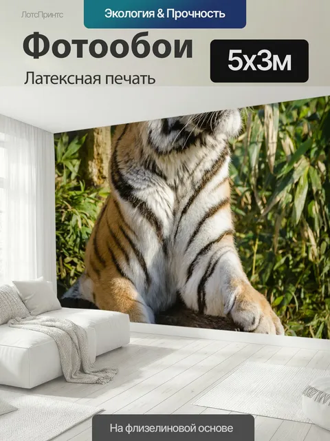 500 × 300 см · Латексная печать