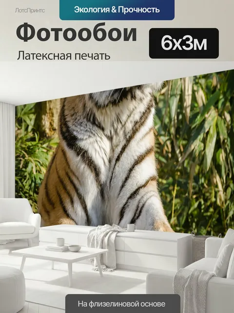 600 × 300 см · Латексная печать