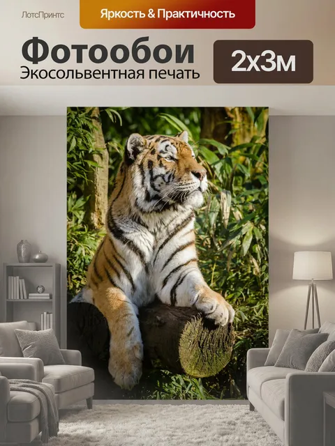 200 × 300 см · Экосольвентная печать