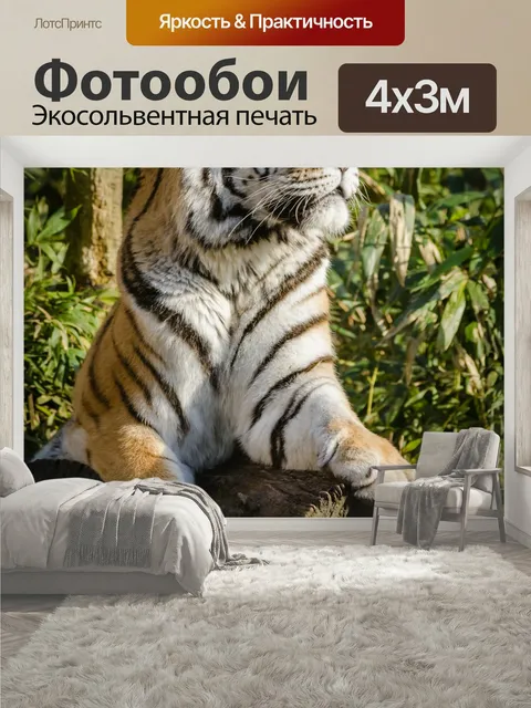 400 × 300 см · Экосольвентная печать