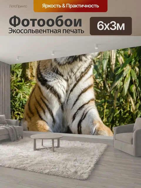 600 × 300 см · Экосольвентная печать