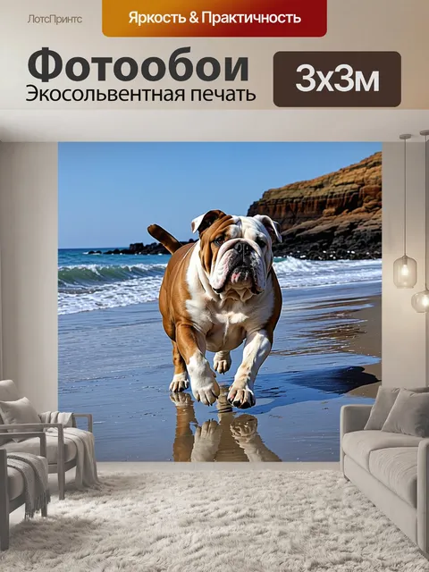 Фотообои Английский бульдог, гуляющий по берегу океана, высокие волны и переводящиеся вдали скалы. передайте движение …