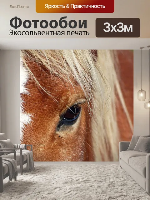 Фотообои Лошадь, голова, книжная обложка