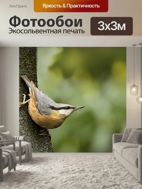 Фотообои Птица, поползень, sitta europaea