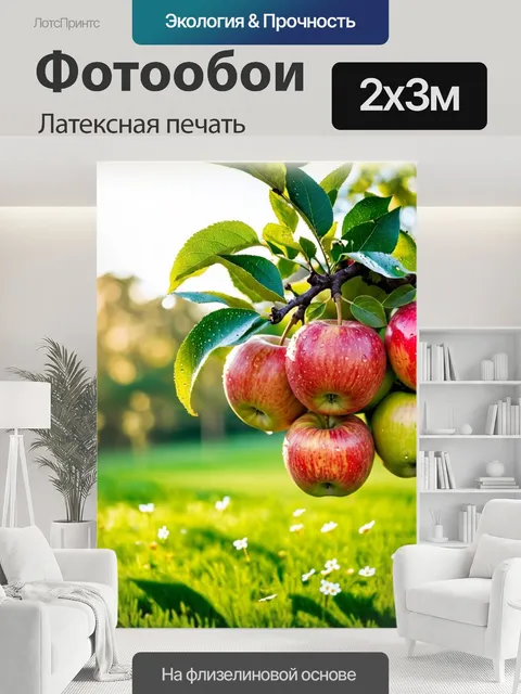 200 × 300 см · Латексная печать