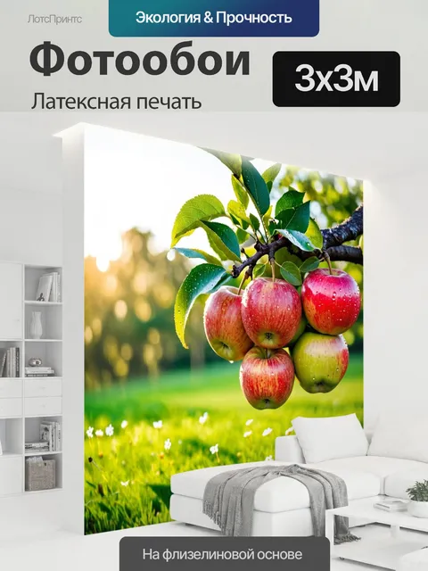 300 × 300 см · Латексная печать