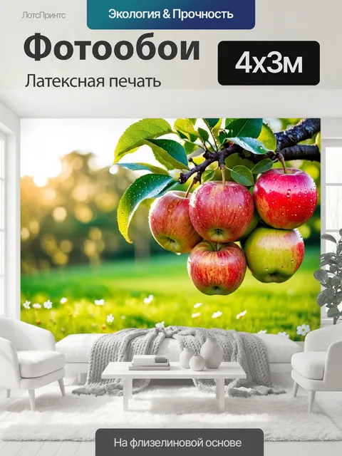 400 × 300 см · Латексная печать
