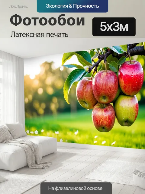500 × 300 см · Латексная печать