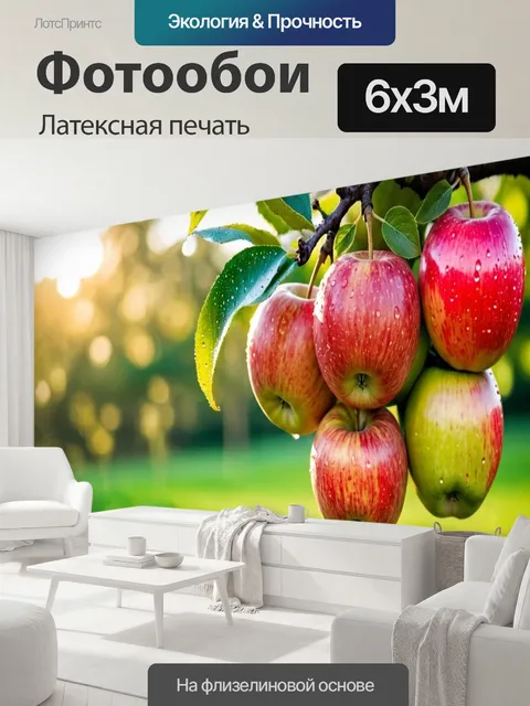 600 × 300 см · Латексная печать