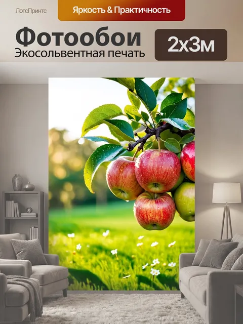200 × 300 см · Экосольвентная печать