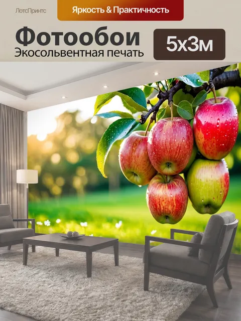 500 × 300 см · Экосольвентная печать