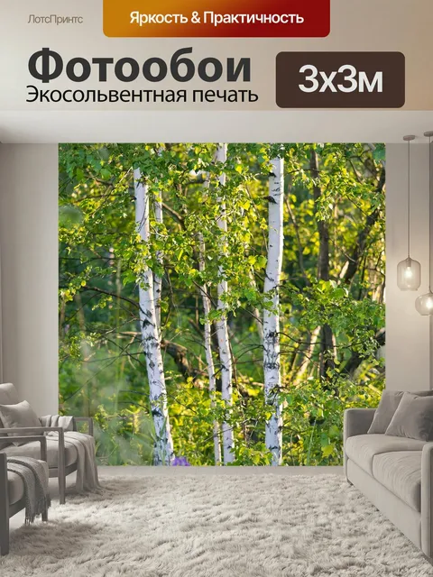 Фотообои Береза, лето, белый