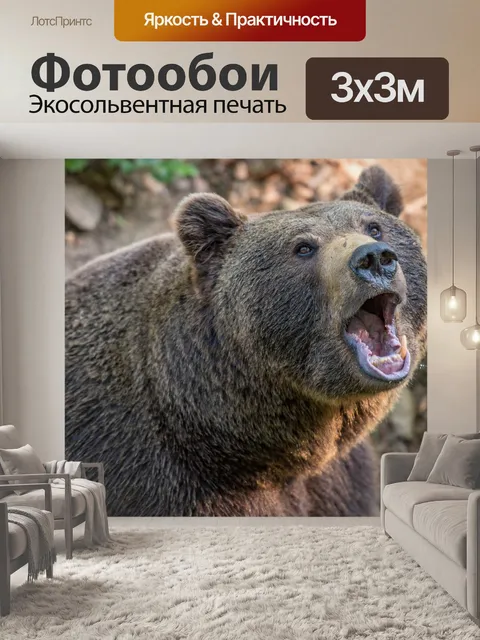 Фотообои Медведь, бурый медведь, животное